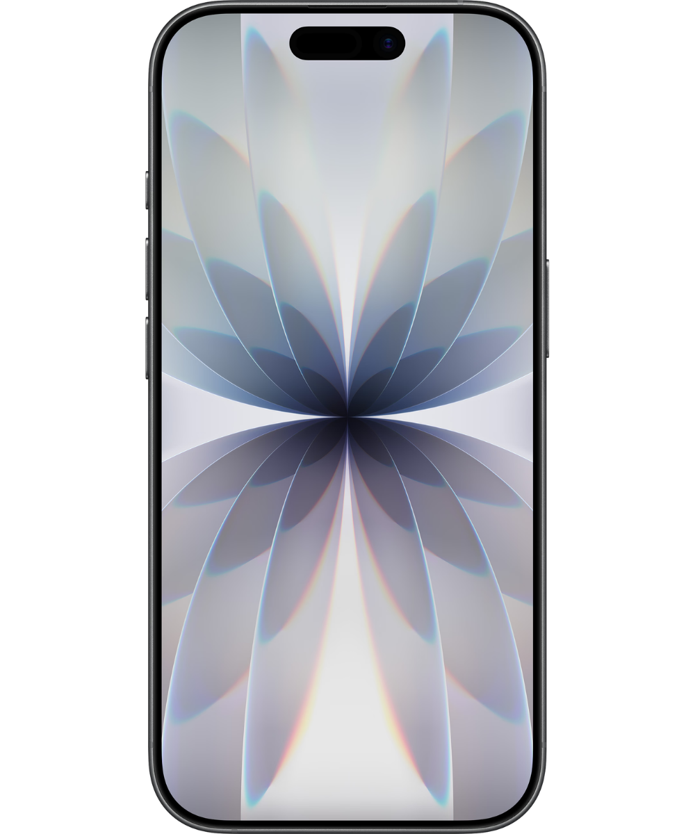 iPhone 17 256GB Zwart