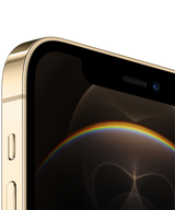 iPhone 12 Pro 256 GB Goud