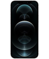 iPhone 12 Pro Max 256 GB Zilver