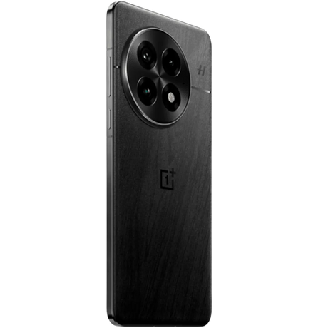 OnePlus 13