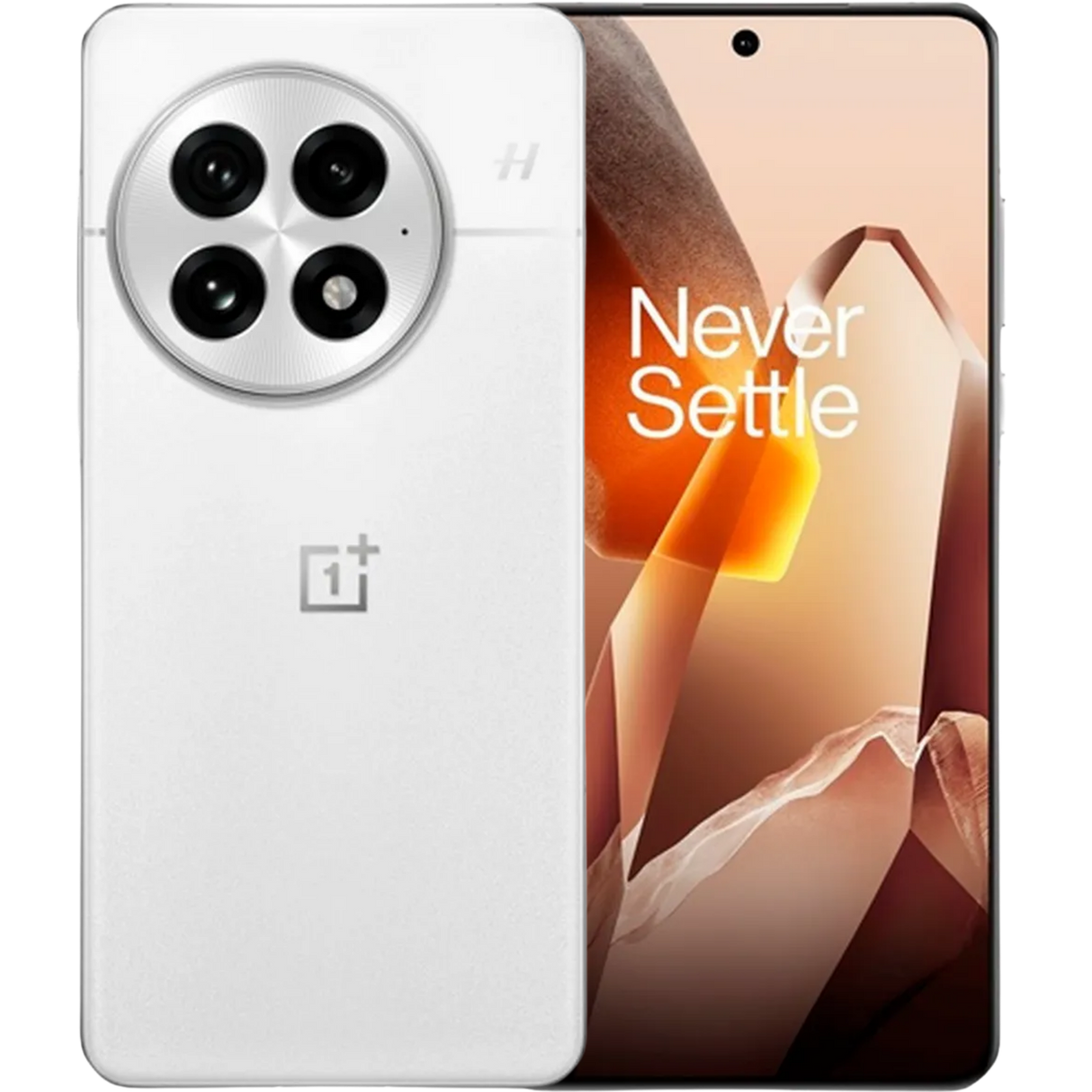 OnePlus 13